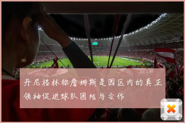 丹尼格林称詹姆斯是园区内的真正领袖促进球队团结与合作